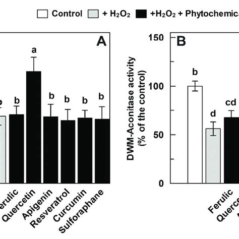 Recovery Effect Of Different Phytochemicals On M Aconitase A And