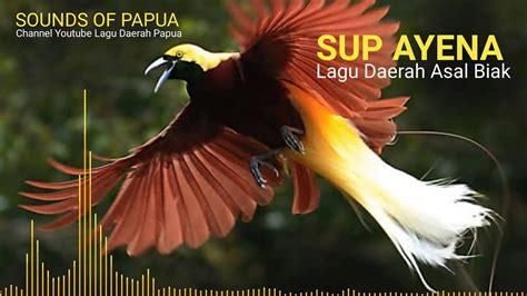 Sup Ayena Lagu Daerah Papua Asal Biak Sounds Of Papua Youtube