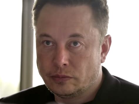 Elon Musk Ai Could Turn Humans Into Endangered Species