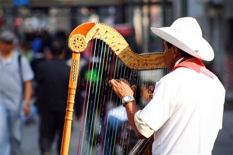 Musician From Veracruz With Harp Editorial Photo Image Of Happy Play