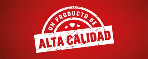 Un Producto De Alta Calidad Conexión 20