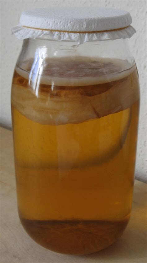 How To Grow A Scoby Kombucha Brewing Grow My Own Health Food
