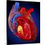 Structure Of A Human Heart Artwork Wall Art Canvas Prints Framed 