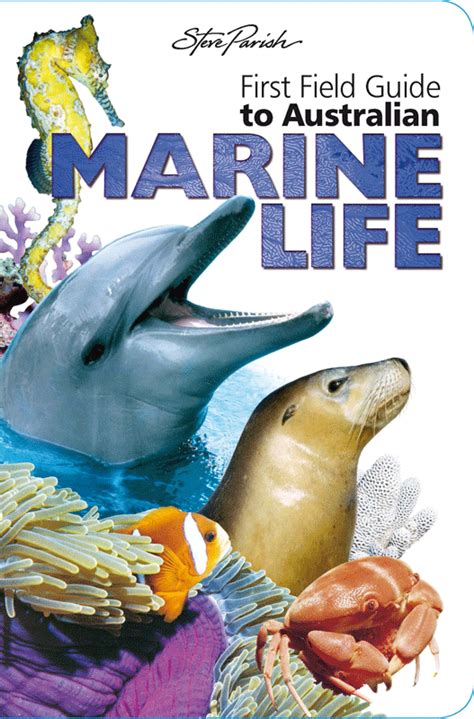 Steve Parish First Field Guide To Australian Marine Life