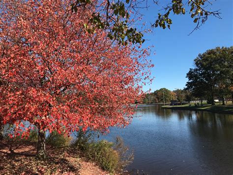 Here's when to see peak fall foliage in N.J., although colors won't be ...