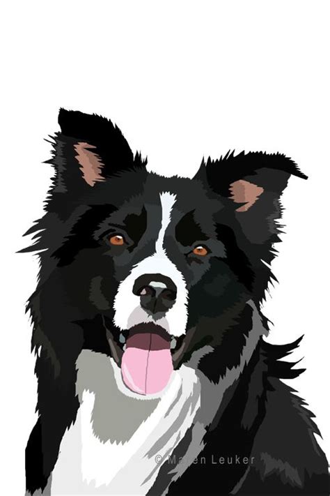 Border Collie Dog Drawing Animal Drawings Border Collie Art