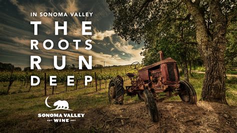 Shop Sonoma Valley Vintners And Growers