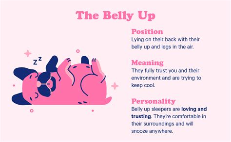 Check spelling or type a new query. 10 Dog Sleeping Positions + The Adorable Meaning Behind ...
