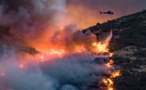 Ειδήσεις, video, ειδησεις τωρα και νέα για εμπρησμοσ κακουργημα από το pagenews.gr. ΖΩΙΚΟΣ ΕΜΠΡΗΣΜΟΣ: ΠΩΣ ΕΝΑ ΓΕΡΑΚΙ ΚΙ ΕΝΑ ΦΙΔΙ ΞΕΚΙΝΗΣΑΝ ...