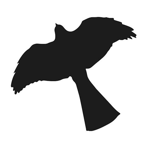 The Best Free Sparrow Silhouette Images Download From 129 Free