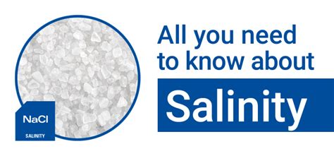 All You Need To Know About Salinity Ati North America