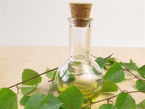 10 Best Benefits Of Birch Essential Oil Organic Facts