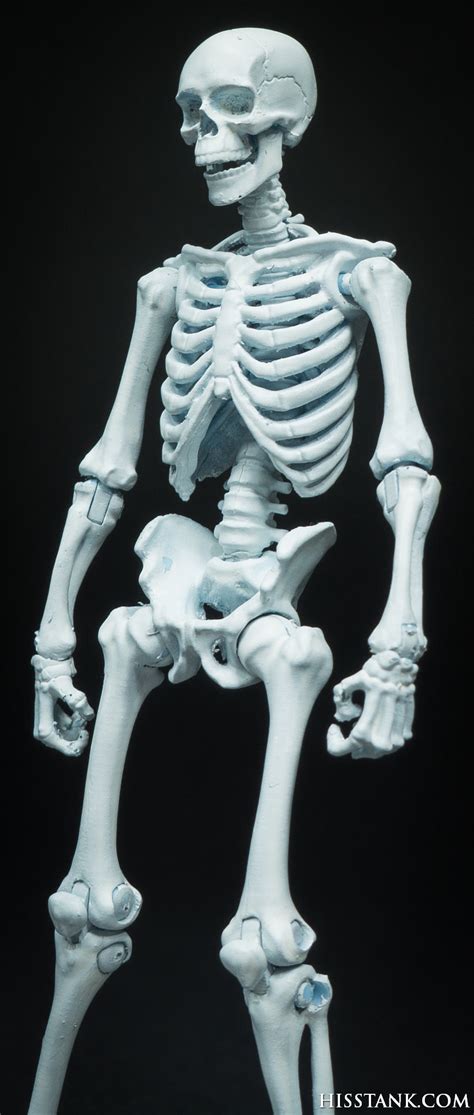 Skeleton — skèletōn m definicija sport 1. Boss Fight Studio Vitruvian H.A.C.K.S. Skeleton Photo ...