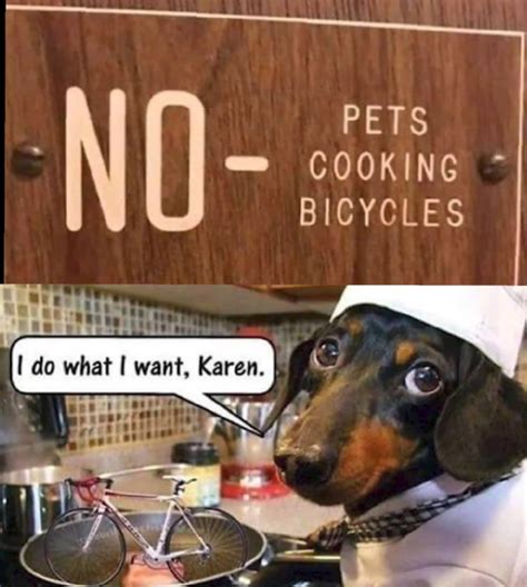 Share the best gifs now >>>. Very funny please laugh - Meme Guy