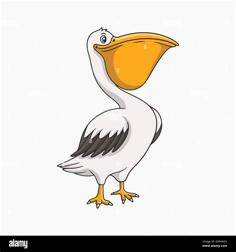 Pelican Vector Illustration Cartoon Clipart Stock Vector Image And Art