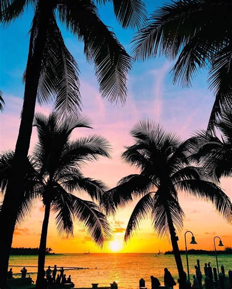 Key West Florida By Littledove Palm Tree Pictures Sunset