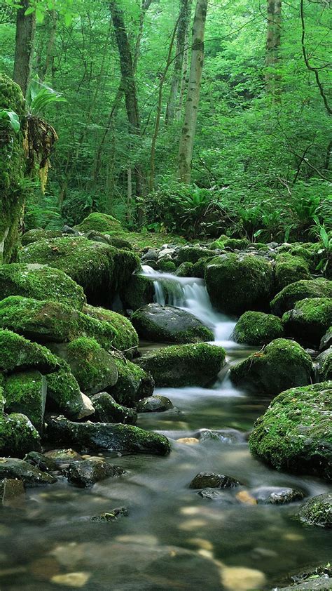 Download Wallpaper 1080x1920 Waterfall Stones Flow Moss Samsung
