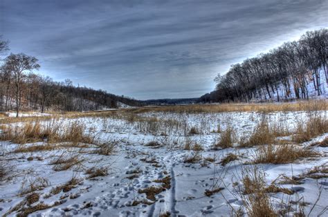 Winter tundra on the Ice Age Trail, Wisconsin image - Free stock photo