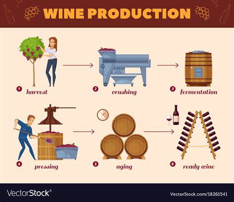 Wine Production Process Cartoon Flowchart Vector Image