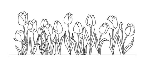 Ilustración De Ilustración De Fondo De Campo De Tulipán Lindo Dibujado