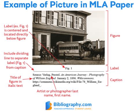 How To Cite A Picture In Mla