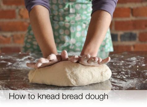 How To Knead Bread Dough The Video Kitchn