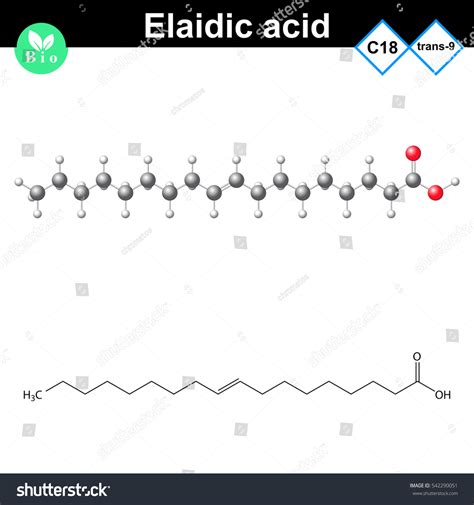 Elaidic Fatty Acid Chemical Structure Unsaturated Stock Illustration