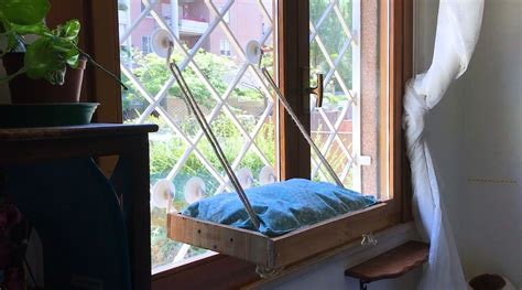 Make it more convenient for them to laze by the window with their very own homemade window perch. A DIY Cat Window Perch | Cat window perch, Window perch ...