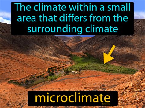 Microclimate Easy To Understand