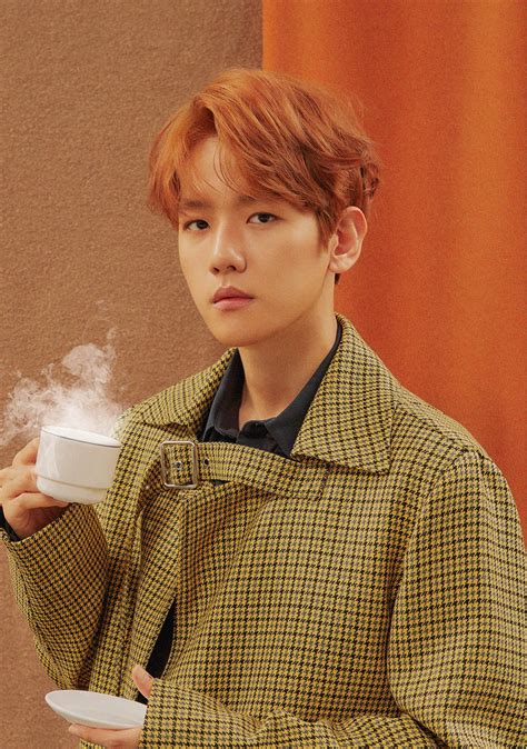 He is a member of the korean pop boy group exo. | K-pop on fire