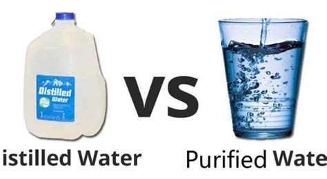 6 Proven Health Benefits Of Drinking Purified Water Chatonic