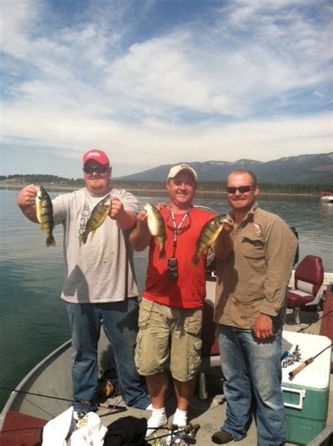 Flathead Lake Perch Report From The Captain Montana Hunting And