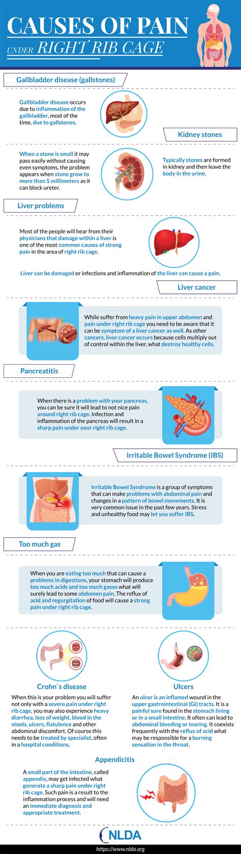This is a common problem faced by many people across the world, even those who are in good health otherwise. 12 Common Causes of Pain under Right Rib Cage + Infographic - 3