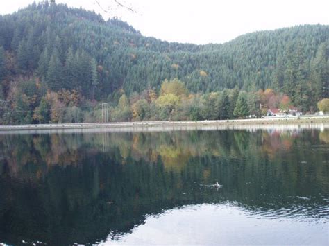 Autumn Leaburg Lake | Natural landmarks, River, Lake
