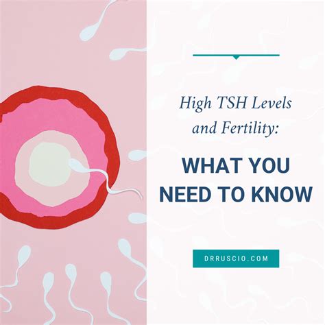 High Tsh Levels And Fertility What You Need To Know Dr Michael Ruscio Dc