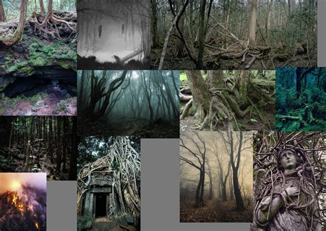 Forest Moodboard Mood Boards Scary Forest