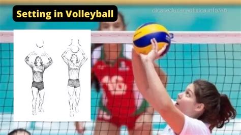 Setting In Volleyball Types Of Sets In Volleyball Def
