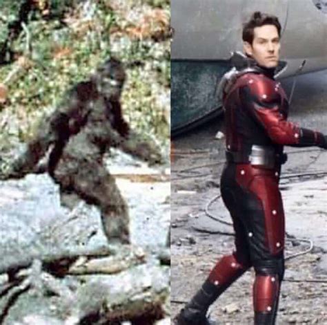 26 Hilarious Marvel Superhero Memes That Will Make You ...