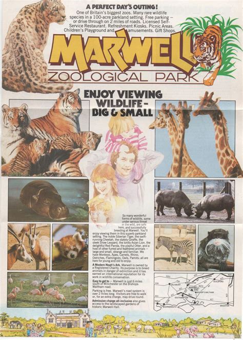 1985 Brochure For Marwell Zoological Park Near Winchester England