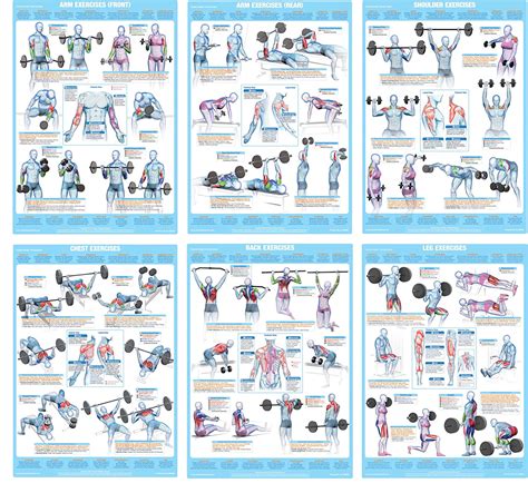 Weight Training Exercise Posters Bodybuilding Chart Uk