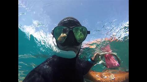 Snorkeling In The Great Barrier Reef Youtube