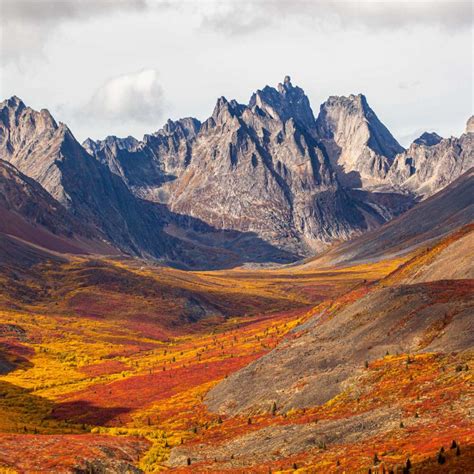 Yukon Nature Photo Tours And Workshops Wild Exposure