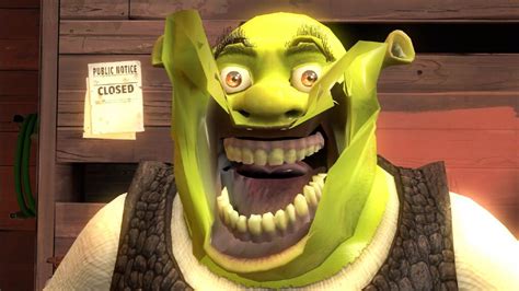 Pin De Megyn Pettry Em Shrek Memes Engra Ados Memes Hil Rios Rostos De Meme