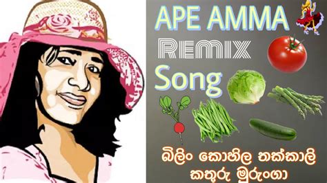 Ape Amma Remix Song අපෙ අම්මා Bilin Kohila Thakkali Kathuru Murunga 🧘