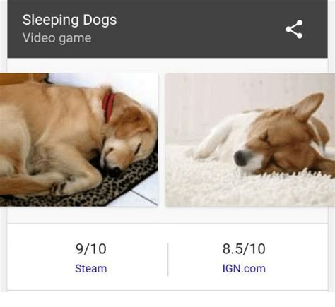 25 Best Memes About Sleeping Dog Sleeping Dog Memes