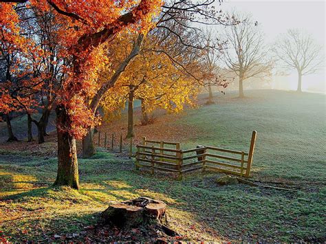 Autumn In Countryside Autumn Fence Countryside Fall Bonito Mist