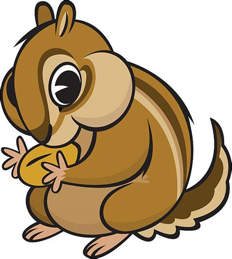 Royalty Free Chipmunk Clip Art Vector Images And Illustrations Istock