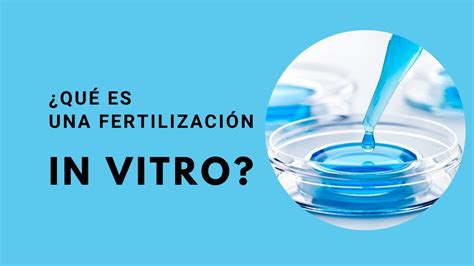 Fertilización IN VITRO paso a paso y sus TASAS de ÉXITO YouTube