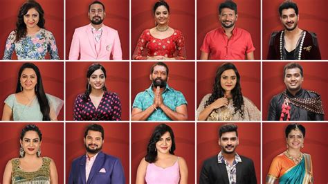 Download the hotstar app or log on to the hotstar website. Bigg Boss Telugu 3: Take a Look At The Final 15 ...