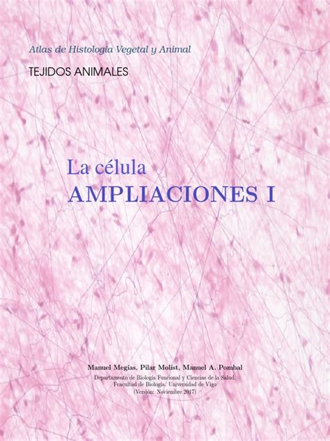 Atlas Celulas Ampliaciones I Pdf Pdf Rna Biología Celular